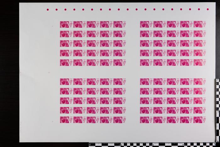 PPM 34304