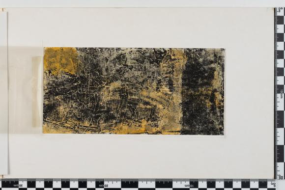 PPM 29243_4