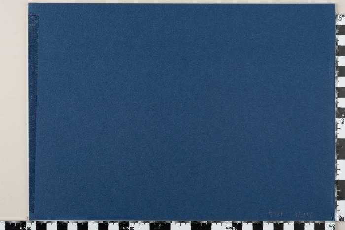 PPM 31317_1