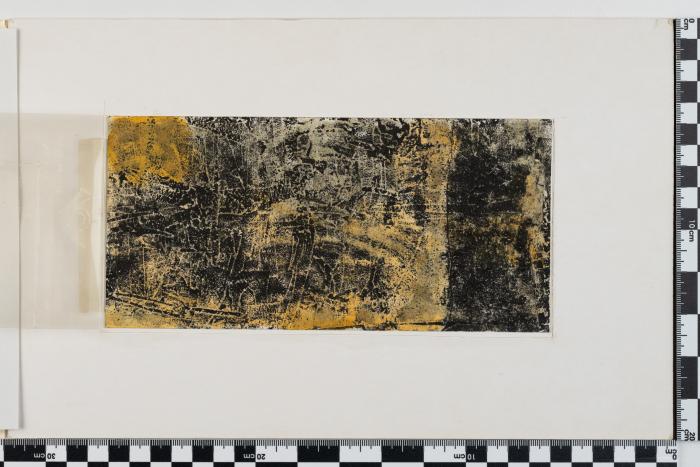 PPM 29243_4