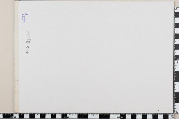 PPM 31451_4