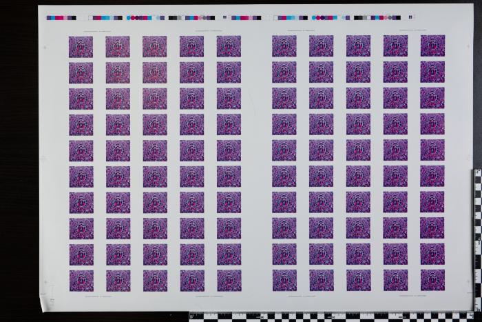 PPM 29204