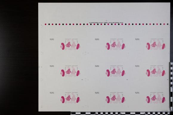 PPM 31214