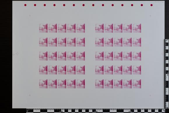 PPM 31896