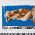PPM 25598_1