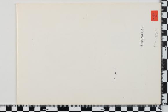 PPM 29234_1