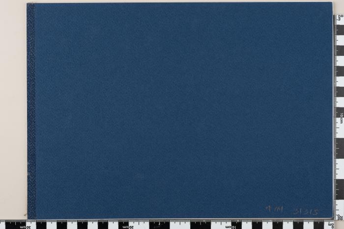 PPM 31315_1