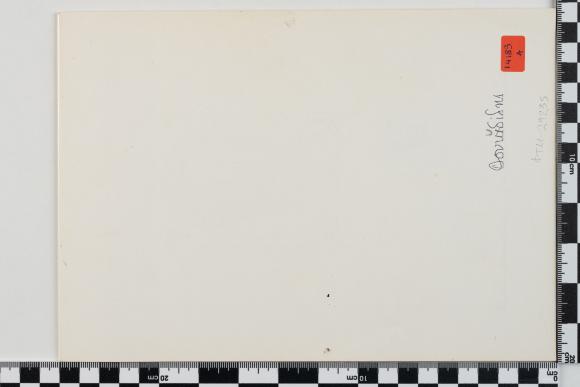 PPM 29235_1