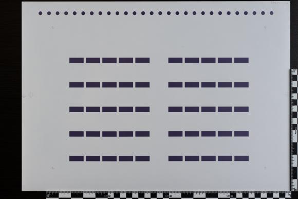 PPM 31902