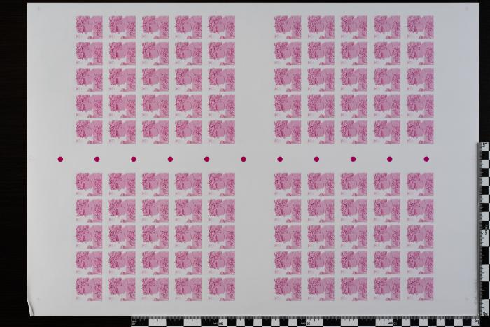 PPM 30580
