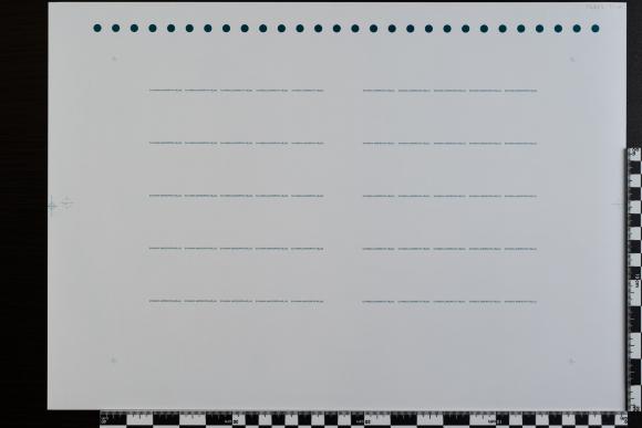 PPM 31891