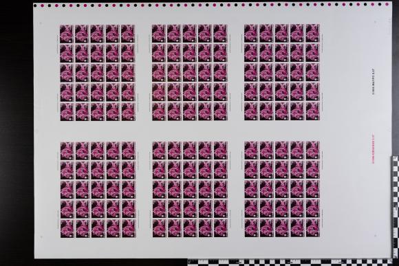 PPM 31419