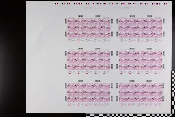 PPM 15569