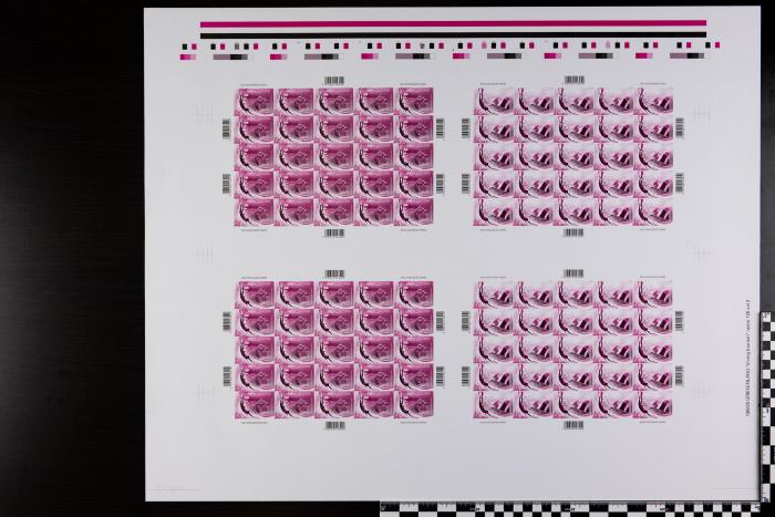PPM 18214
