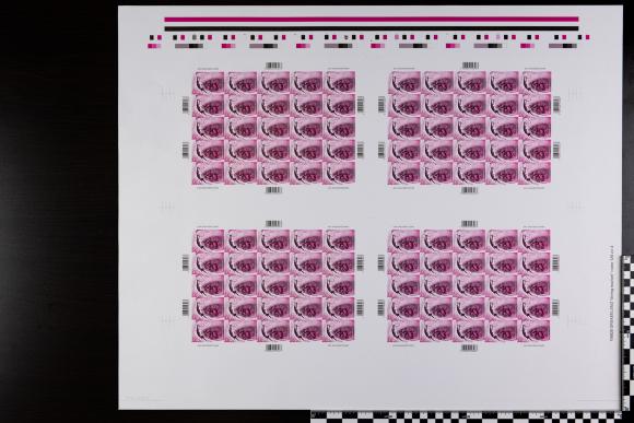 PPM 18210