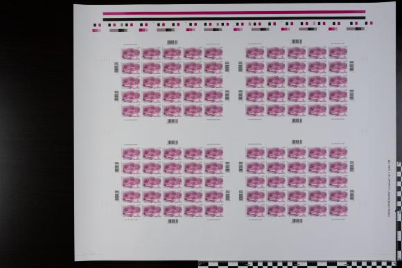PPM 18238