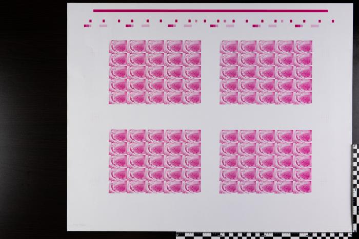 PPM 18208
