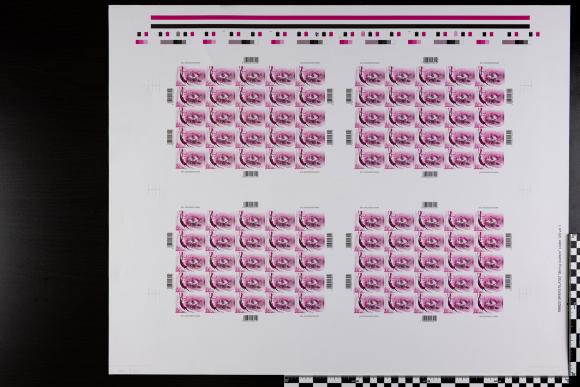 PPM 18203