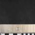 PPM 16176_1