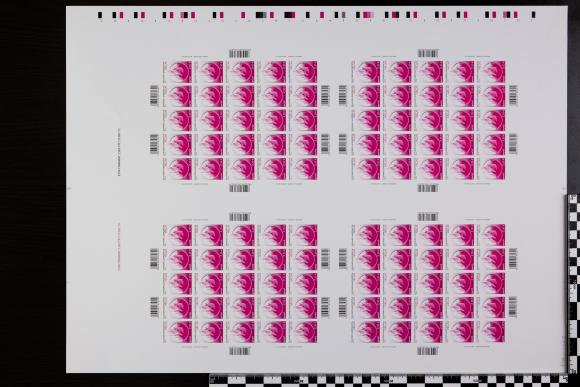 PPM 15215