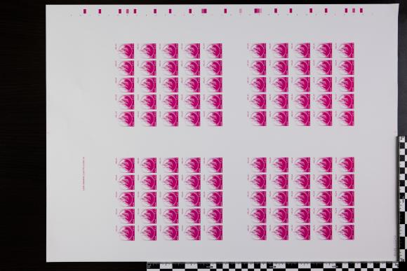 PPM 15212