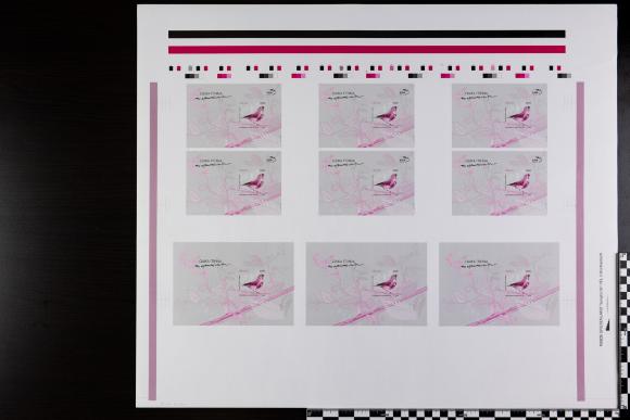 PPM 17870