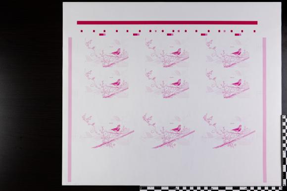 PPM 17873