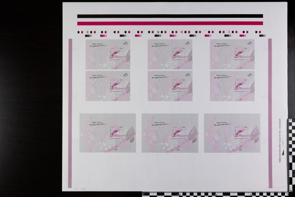 PPM 17861