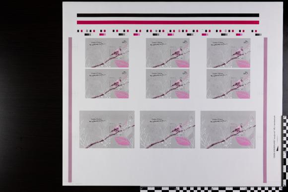 PPM 17877