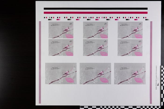 PPM 17877