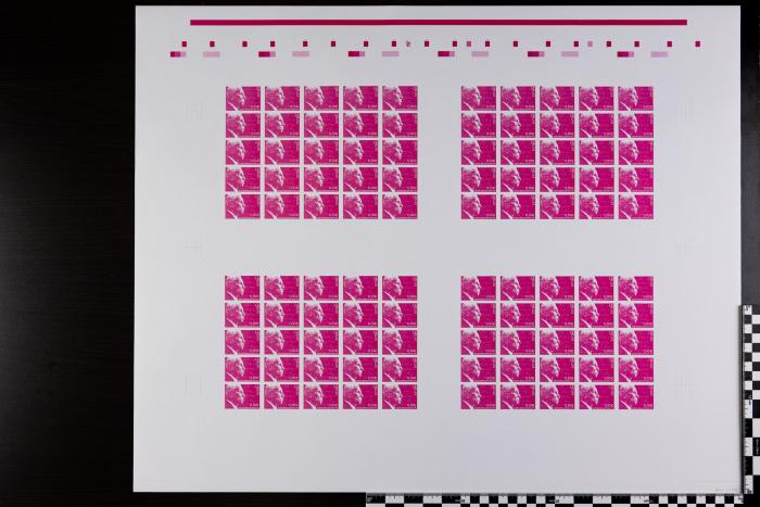 PPM 17991