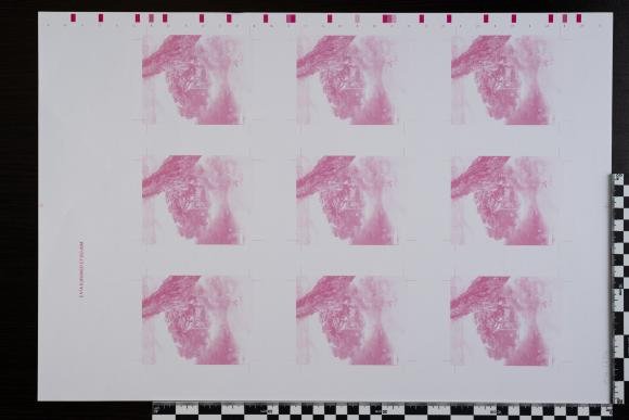 PPM 16336