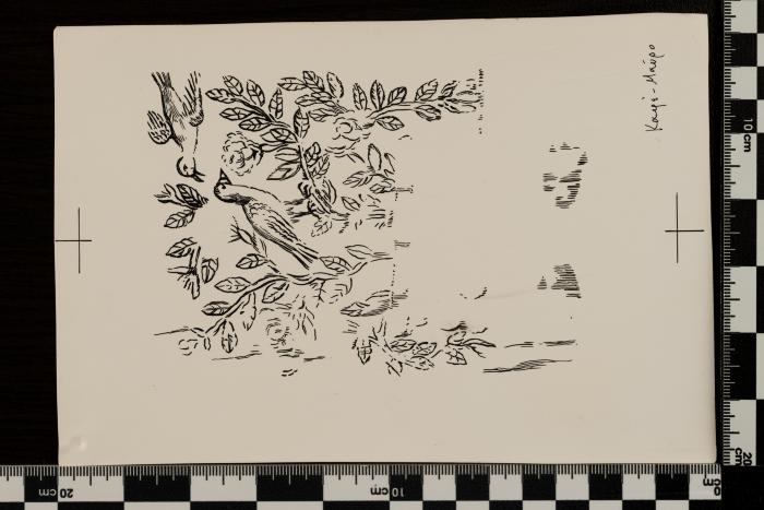 PPM 1215_1