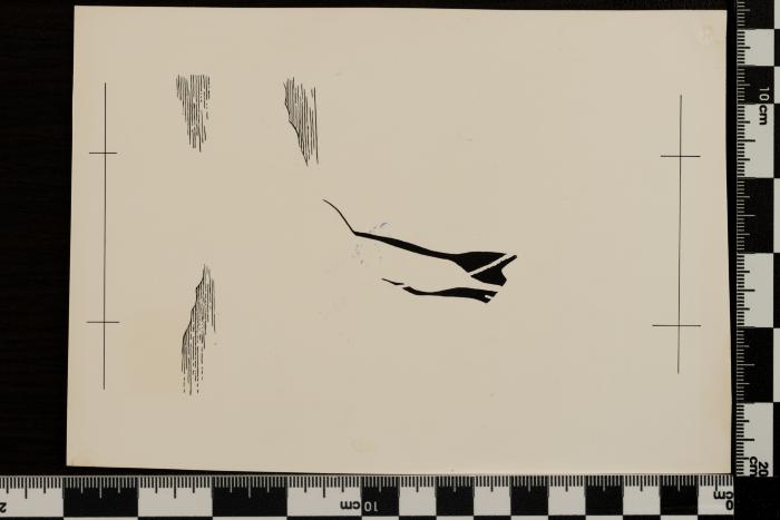 PPM 1199_1
