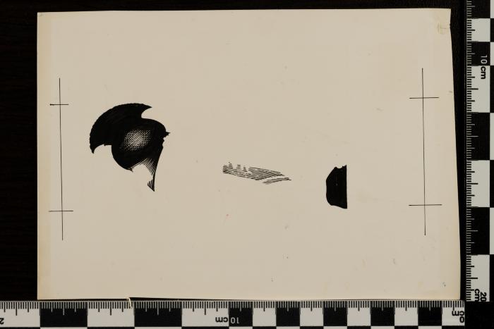 PPM 1197_1