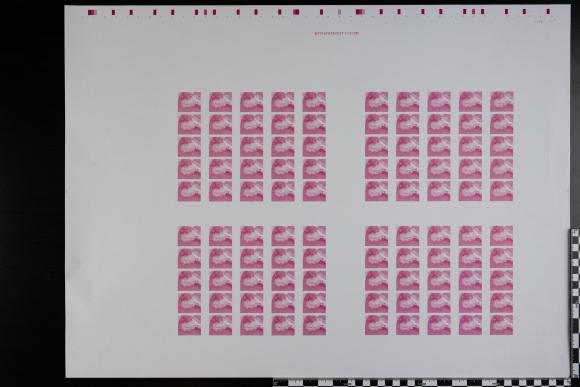 PPM 18804