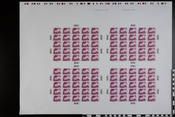 PPM 18801