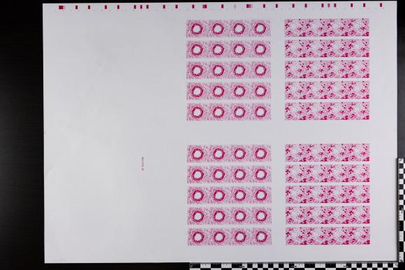 PPM 18593
