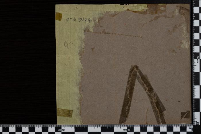 PPM 3449_2