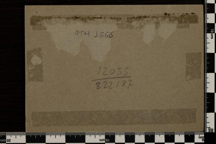 PPM 1666_2