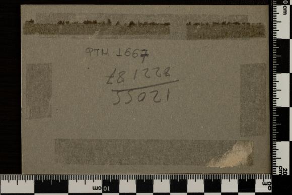 PPM 1667_2