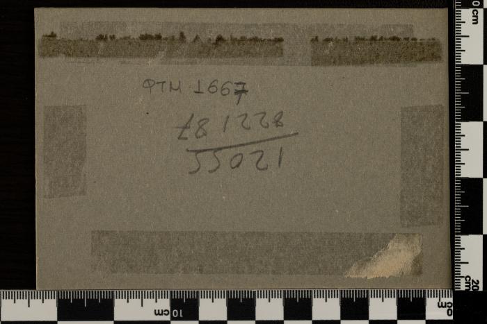 PPM 1667_2