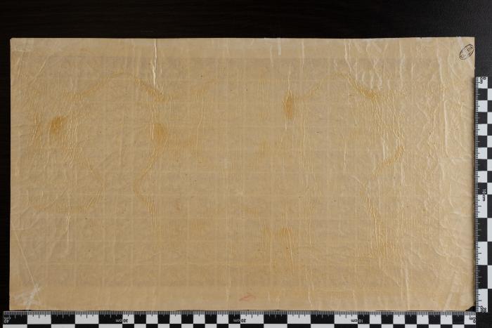 PPM 6994_2
