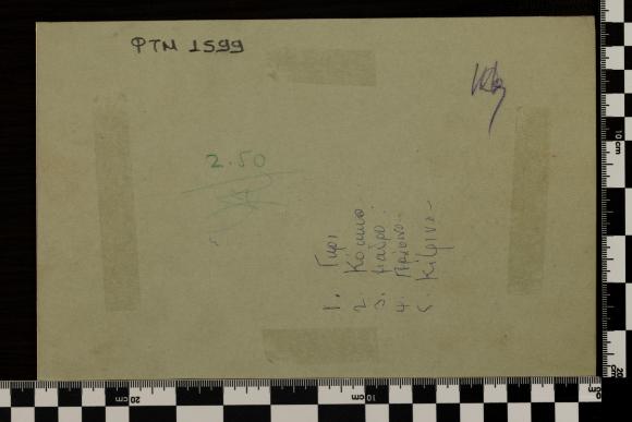 PPM 1599_2