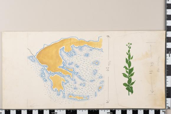 PPM 48389_1