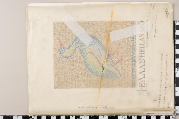 PPM 48185_1