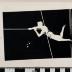 PPM 48029_1