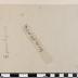 PPM 31470_1
