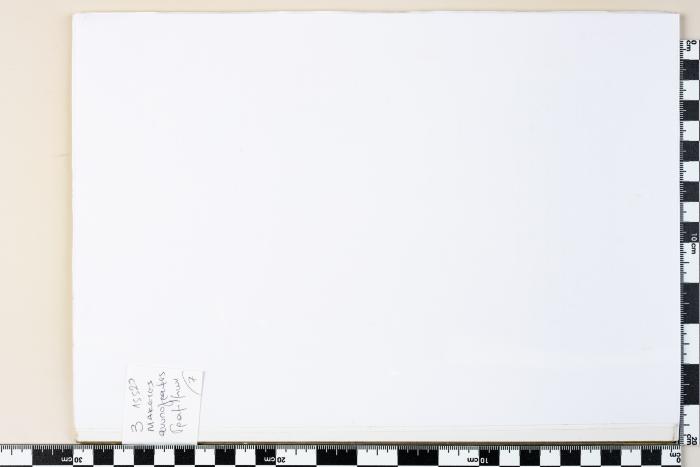 PPM 37476_1