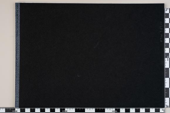 PPM 38211_1